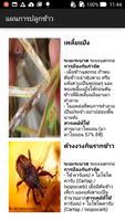 แผนการปลูกข้าว تصوير الشاشة 2