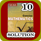 Icona ICSE Class 10 Math Selina Publishers Solutions