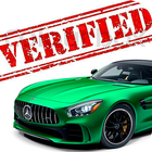 ISB & Punjab car verification icône