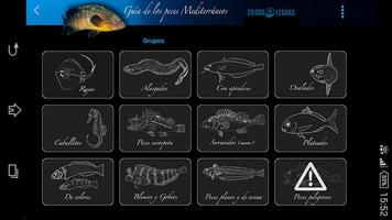 Guía de Peces del Mediterráneo captura de pantalla 1