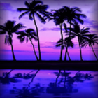 Sunset Evening Live Wallpaper-icoon