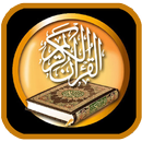 APK Al Quran Pro Full Offline