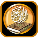 Al Quran Pro Full Offline APK