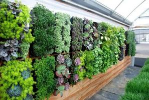 Vertical Garden Style Idea New اسکرین شاٹ 3