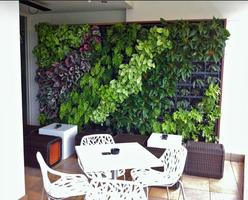 برنامه‌نما Vertical Garden Style Idea New عکس از صفحه