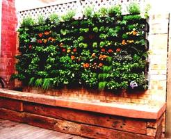 Vertical Garden Style Idea New 스크린샷 2