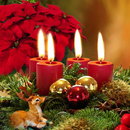 Merry Christmas 2014 WPs APK