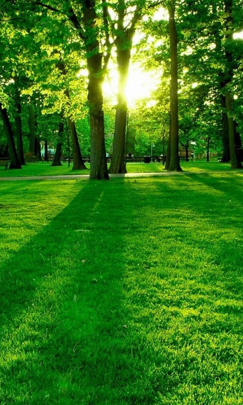 Sun Rise Live Wallpaper APK for Android – Download Sun Rise Live Wallpaper APK Latest Version from Sun Rise Live Wallpaper APK for Android – Download Sun Rise Live Wallpaper APK Latest Version from