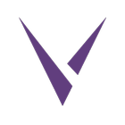 VembuOnline Backup icono