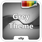 Theme eXp - Grey icône