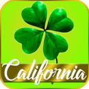 California lottery - Results APK