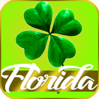 Florida lottery - results icône