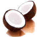 TIPTUR