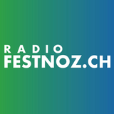DJ Festnoz ikona