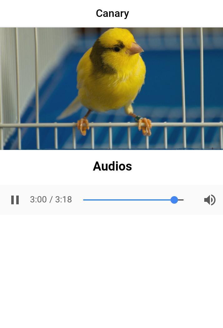 Android canary Android canary