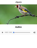 Goldfinch song پوسٹر