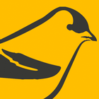 ikon Menyanyi dari Goldfinch