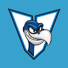 Vermont Vultures Basketball icône