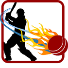 Cricket - Win Predicton icône