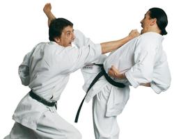 Karate Wallpapers capture d'écran 2