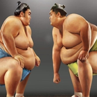 Sumo Wallpapers icono