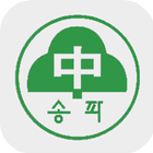 송파중학교 icon