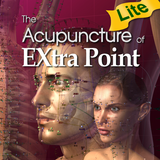 Extra Point Lite ícone