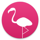 Flamingo - Real Time Photos أيقونة