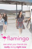 Flamingo - Real Time Photos الملصق