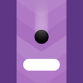 Switch Dash