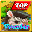 Icona Guideplay Township 2