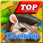 Guideplay Township 2 biểu tượng