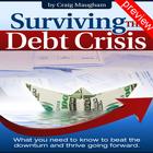Surviving the Debt Crisis Pv icon