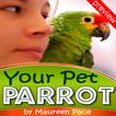 Your Pet Parrot Preview