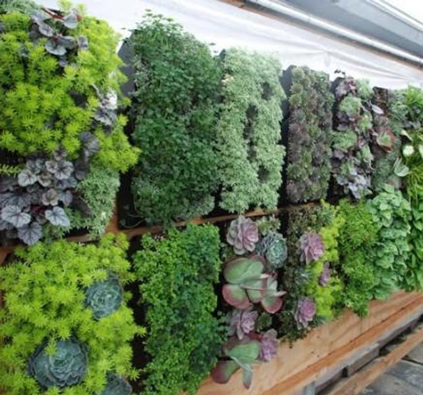 Vertical Garden Design Ideas Unique Decorating Vertical Garden Design Ideas Unique Decorating