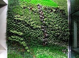diseño de jardín vertical captura de pantalla 2