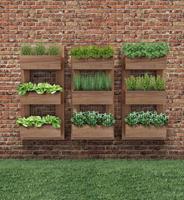برنامه‌نما vertical gardening عکس از صفحه