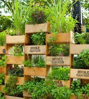 Vertical Garden Ideas screenshot 1