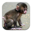 Cute Animal Babies Wallpaper APK