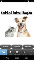Carlsbad Animal Hospital Affiche