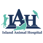 Island Animal Hospital icône