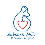 Babcock Hills icône