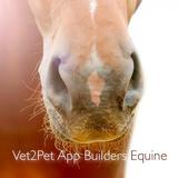 V2P Equine icon