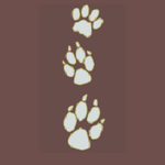 Milford Veterinary Clinic icon