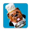 Dog Feeding