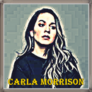 Carla Morrison - Disfruto Musica 2018 APK
