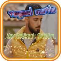 Song Veysel & Carlas Affiche