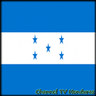 Channel TV Honduras Info icône