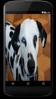 Dalmatian Dog Live Wallpaper Affiche