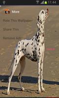Dalmatian कुत्ता लाइव वॉलपेपर स्क्रीनशॉट 2
